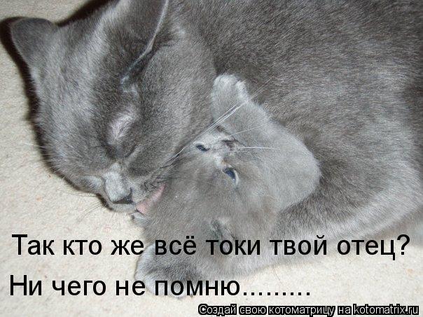 Так кто же всё токи твой отец? Ни чего не помню............ Котоматрица: Так кто же всё токи твой отец? Ни чего не помню.........