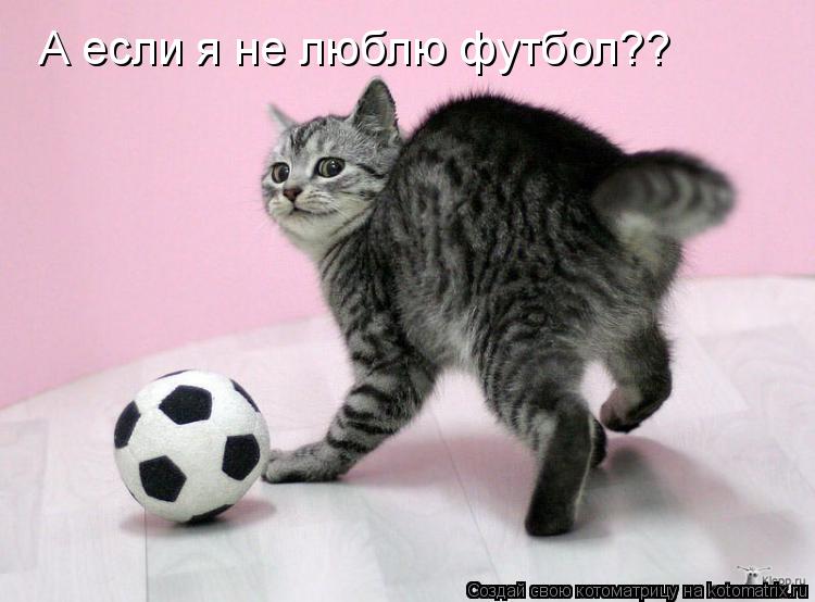 А если я не люблю футбол??... Котоматрица: А если я не люблю футбол??