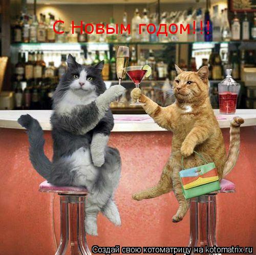 С Новым годом!!!... Котоматрица: С Новым годом!!!