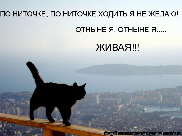 ПО НИТОЧКЕ, ПО НИТОЧКЕ ХОДИТЬ Я НЕ ЖЕЛАЮ! ОТНЫНЕ Я, ОТНЫНЕ Я..... ЖИВАЯ!!!... Котоматрица: ПО НИТОЧКЕ, ПО НИТОЧКЕ ХОДИТЬ Я НЕ ЖЕЛАЮ! ОТНЫНЕ Я, ОТНЫНЕ Я..... ЖИВАЯ!!!