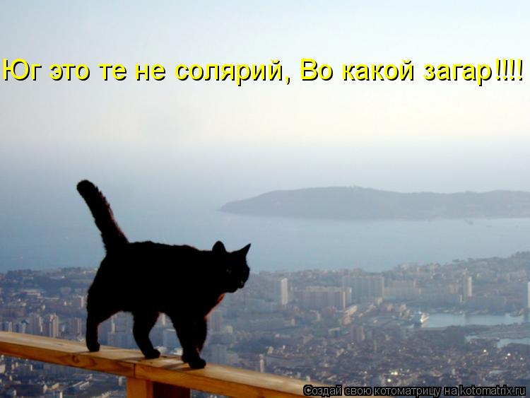 Юг это те не солярий, Во какой загар!!!!... Котоматрица: Юг это те не солярий, Во какой загар!!!!