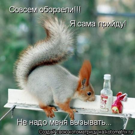 Совсем оборзели!!! Я сама прийду! Не надо меня вызывать...... Котоматрица: Совсем оборзели!!! Я сама прийду! Не надо меня вызывать...