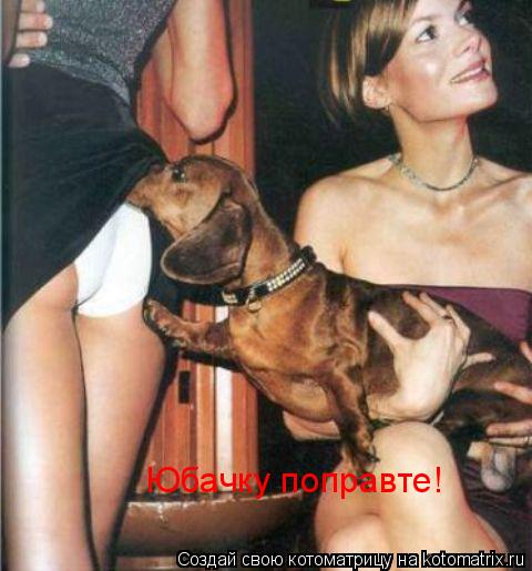 Юбачку поправте!... Котоматрица: Юбачку поправте!