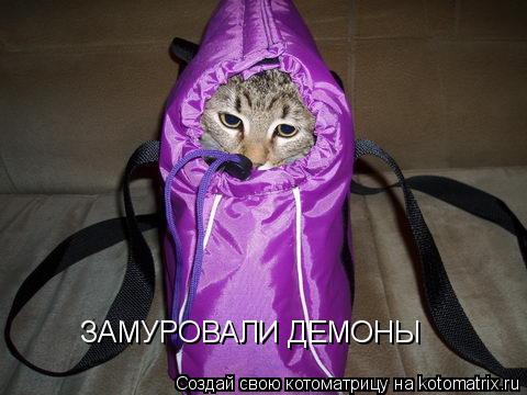ЗАМУРОВАЛИ ДЕМОНЫ... Котоматрица: ЗАМУРОВАЛИ ДЕМОНЫ
