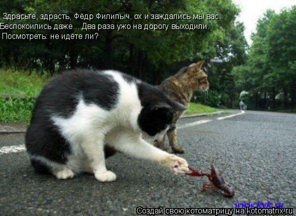 Здрасьте, здрасть, Фёдр Филипыч, ох и заждались мы вас. Беспокоились даже... Два раза ужо на дорогу в... Котоматрица: Здрасьте, здрасть, Фёдр Филипыч, ох и заждались мы вас. Беспокоились даже... Два раза ужо на дорогу выходили. Посмотреть: не идёте ли?
