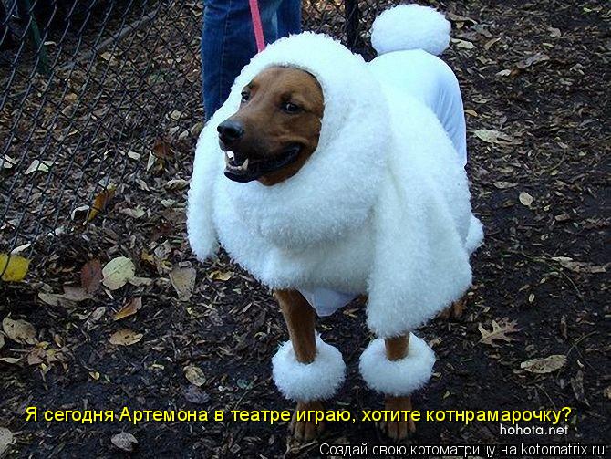 Я сегодня Артемона в театре играю, хотите котнрамарочку?... Котоматрица: Я сегодня Артемона в театре играю, хотите котнрамарочку?