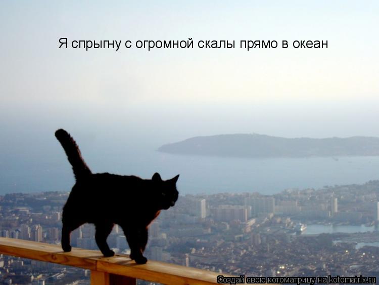 Я спрыгну с огромной скалы прямо в океан... Котоматрица: Я спрыгну с огромной скалы прямо в океан