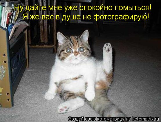 Ну дайте мне уже спокойно помыться! Я же вас в душе не фотографирую!... Котоматрица: Ну дайте мне уже спокойно помыться! Я же вас в душе не фотографирую!