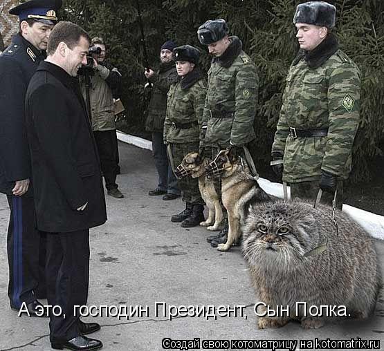 А это, господин Президент, Сын Полка.... Котоматрица: А это, господин Президент, Сын Полка.