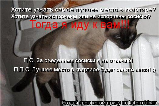 Хотите узнать самое лучшее место в квартире? Хотите узнать испорчены или не испорчены сосиски? Тогда ... Котоматрица: Хотите узнать самое лучшее место в квартире? Хотите узнать испорчены или не испорчены сосиски? Тогда я иду к вам!!! П.С. За съеденные сосиски