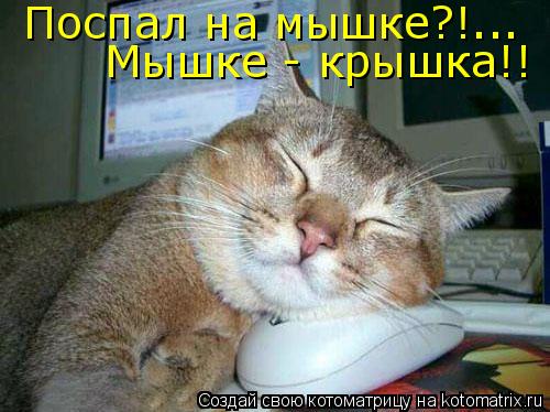 Поспал на мышке?!... Мышке - крышка!!... Котоматрица: Поспал на мышке?!... Мышке - крышка!!