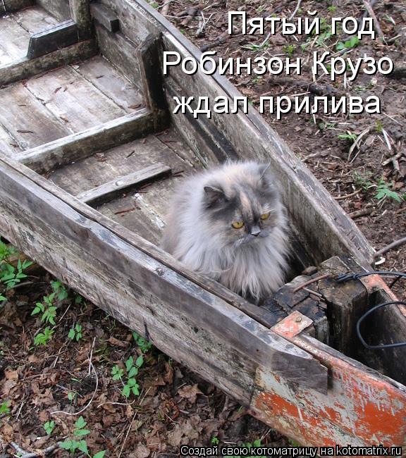 Пятый год Робинзон Крузо ждал прилива... Котоматрица: Пятый год Робинзон Крузо ждал прилива