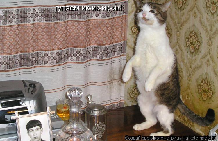 гуляем ик-ик-ик-ик!... Котоматрица: гуляем ик-ик-ик-ик!