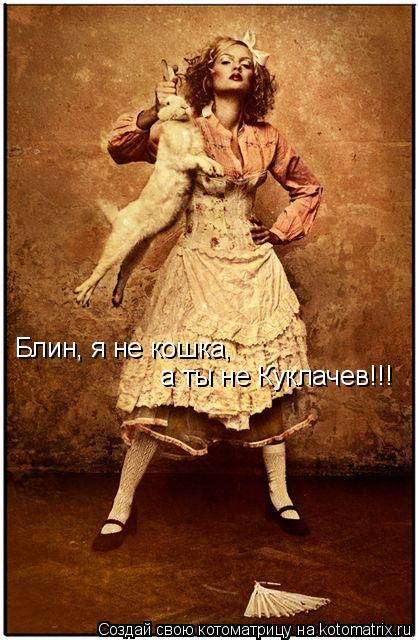 Блин, я не кошка, а ты не Куклачев!!!... Котоматрица: Блин, я не кошка, а ты не Куклачев!!!