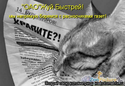 "ОАО"Жуй Быстрей! мы напрямую боремся с расносчиками газет!... Котоматрица: "ОАО"Жуй Быстрей! мы напрямую боремся с расносчиками газет!