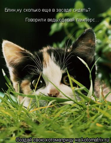 Блин,ну сколько еще в засаде сидеть? Говорили ведь,одевай памперс...... Котоматрица: Блин,ну сколько еще в засаде сидеть? Говорили ведь,одевай памперс...