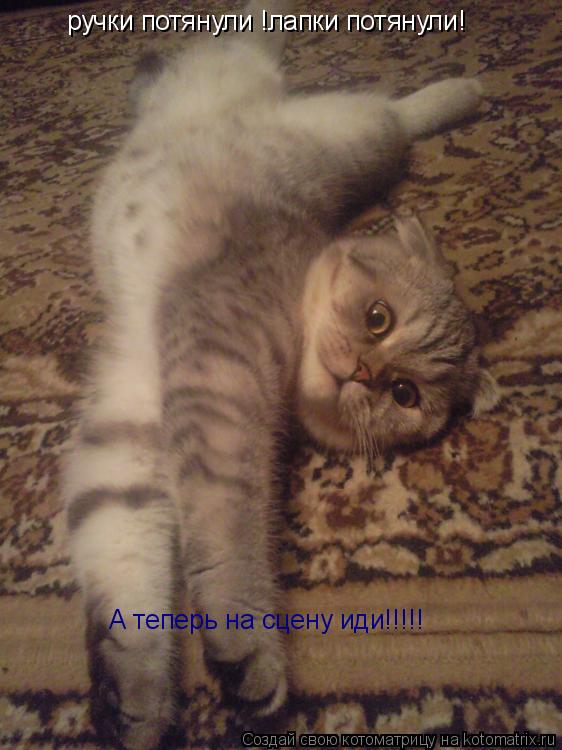 ручки потянули !лапки потянули! А теперь на сцену иди!!!!!... Котоматрица: ручки потянули !лапки потянули! А теперь на сцену иди!!!!!