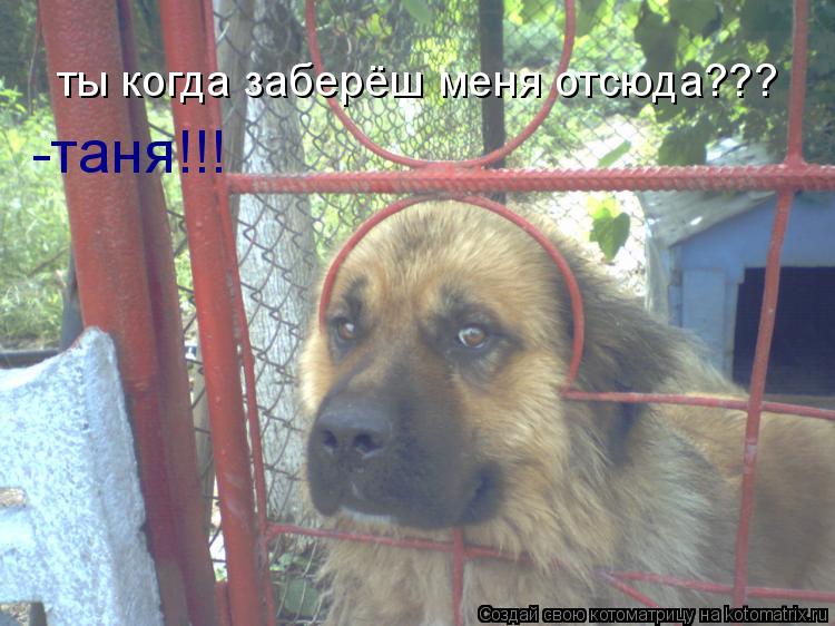 ты когда заберёш меня отсюда??? -таня!!!... Котоматрица: ты когда заберёш меня отсюда??? -таня!!!