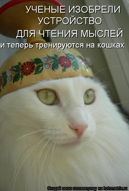 УЧЕНЫЕ ИЗОБРЕЛИ УСТРОЙСТВО ДЛЯ ЧТЕНИЯ МЫСЛЕЙ и теперь тренируются на кошках... Котоматрица: УЧЕНЫЕ ИЗОБРЕЛИ УСТРОЙСТВО ДЛЯ ЧТЕНИЯ МЫСЛЕЙ и теперь тренируются на кошках