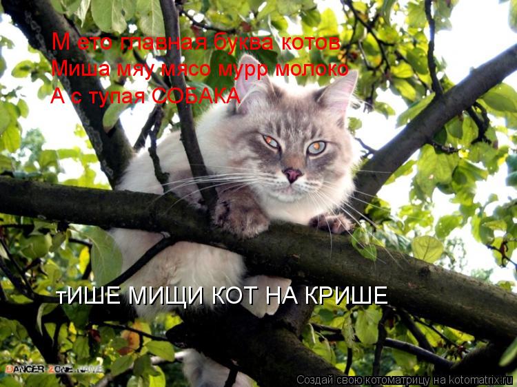 тИШЕ МИЩИ КОТ НА КРИШЕ М ето главная буква котов Миша мяу мясо мурр молоко А с тупая СОБАКА... Котоматрица: тИШЕ МИЩИ КОТ НА КРИШЕ М ето главная буква котов Миша мяу мясо мурр молоко А с тупая СОБАКА