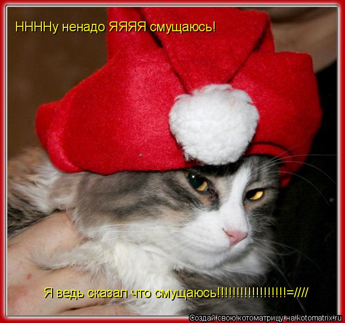 ННННу ненадо ЯЯЯЯ смущаюсь! Я ведь сказал что смущаюсь!!!!!!!!!!!!!!!!!!=////... Котоматрица: ННННу ненадо ЯЯЯЯ смущаюсь! Я ведь сказал что смущаюсь!!!!!!!!!!!!!!!!!!=////