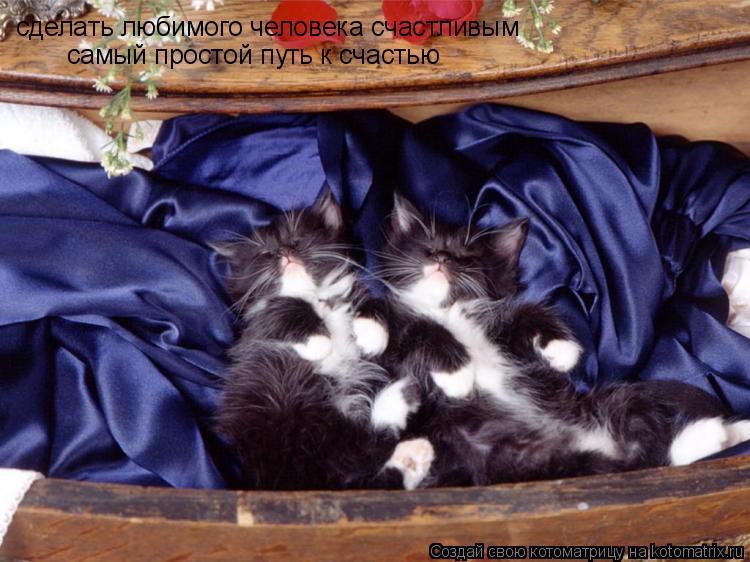 сделать любимого человека счастливым самый простой путь к счастью... Котоматрица: сделать любимого человека счастливым самый простой путь к счастью