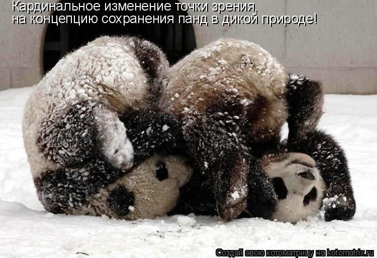 Кардинальное изменение точки зрения, на концепцию сохранения панд в дикой природе!... Котоматрица: Кардинальное изменение точки зрения, на концепцию сохранения панд в дикой природе!