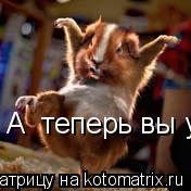 А теперь вы у меня попляшете!!!... Котоматрица: А теперь вы у меня попляшете!!!