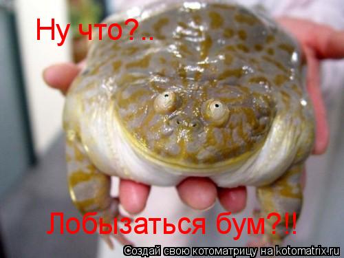 Ну что?.. Лобызаться бум?!!... Котоматрица: Ну что?.. Лобызаться бум?!!