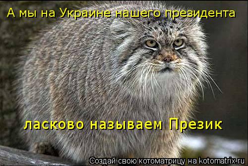А мы на Украине нашего президента ласково называем Презик... Котоматрица: А мы на Украине нашего президента ласково называем Презик
