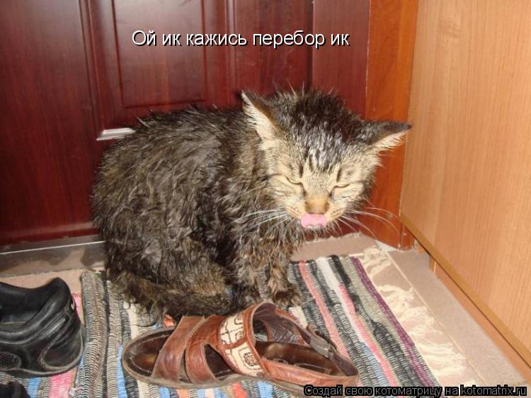 Ой ик кажись перебор ик... Котоматрица: Ой ик кажись перебор ик