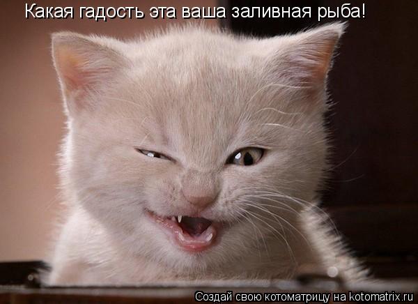 Какая гадость эта ваша заливная рыба!... Котоматрица: Какая гадость эта ваша заливная рыба!