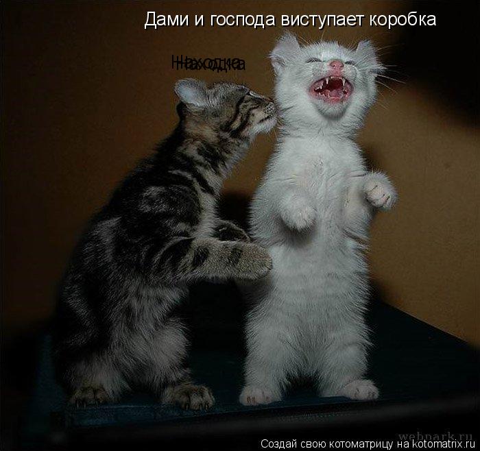 Дами и господа виступает коробка Находка Находка... Котоматрица: Дами и господа виступает коробка Находка Находка