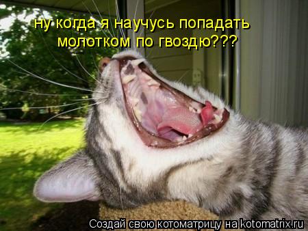 ну когда я научусь попадать молотком по гвоздю???... Котоматрица: ну когда я научусь попадать молотком по гвоздю???