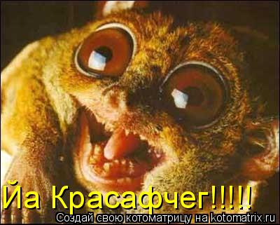 Йа Красафчег!!!!!... Котоматрица: Йа Красафчег!!!!!
