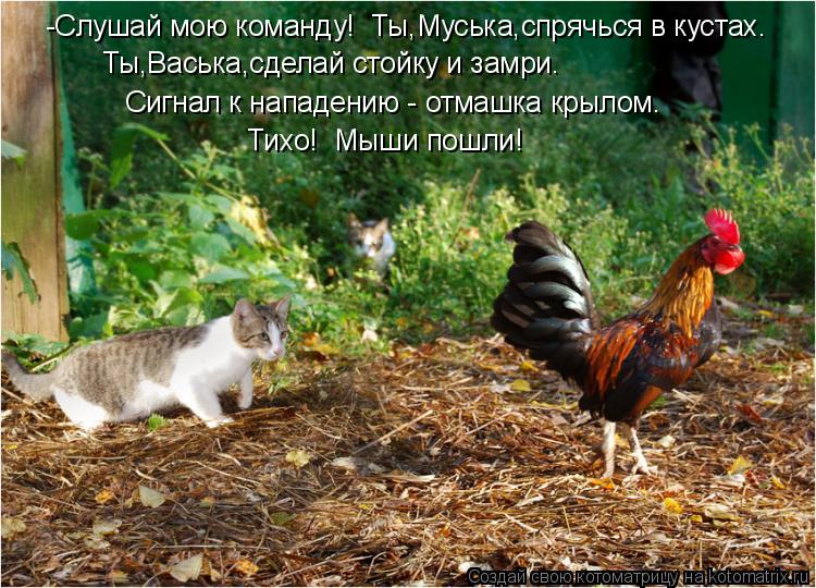 -Слушай мою команду! Ты,Муська,спрячься в кустах. Ты,Васька,сделай стойку и замри. Сигнал к нападени... Котоматрица: -Слушай мою команду! Ты,Муська,спрячься в кустах. Ты,Васька,сделай стойку и замри. Сигнал к нападению - отмашка крылом. Тихо! Мыши пошли!