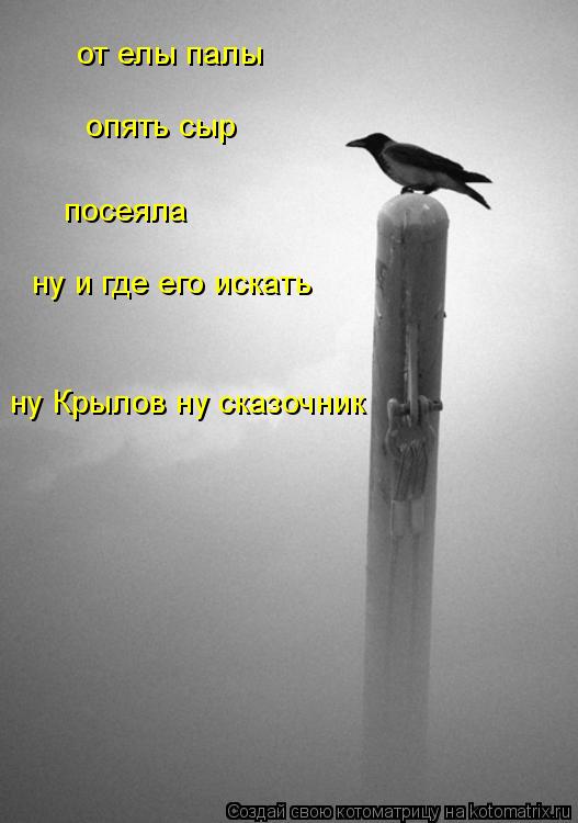 от елы палы опять сыр посеяла ну и где его искать ну Крылов ну сказочник... Котоматрица: от елы палы опять сыр посеяла ну и где его искать ну Крылов ну сказочник