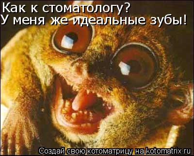 Как к стоматологу? У меня же идеальные зубы!... Котоматрица: Как к стоматологу? У меня же идеальные зубы!