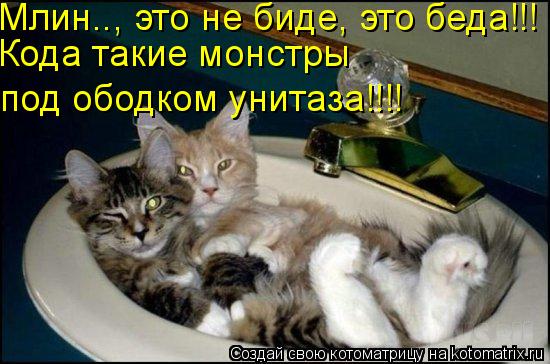 Млин.., это не биде, это беда!!! Кода такие монстры под ободком унитаза!!!!... Котоматрица: Млин.., это не биде, это беда!!! Кода такие монстры под ободком унитаза!!!!