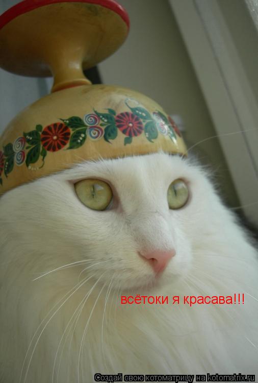 всётоки я красава!!!... Котоматрица: всётоки я красава!!!