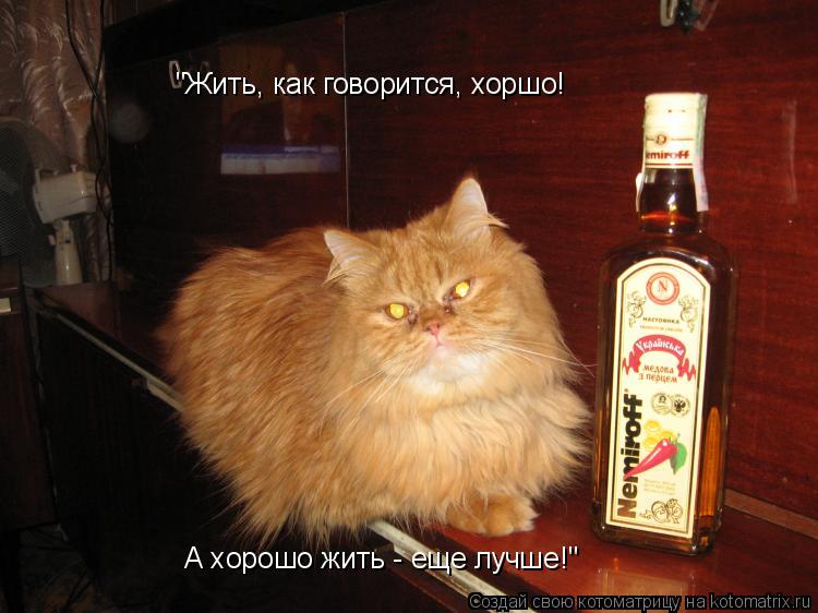 "Жить, как говорится, хоршо! А хорошо жить - еще лучше!"... Котоматрица: "Жить, как говорится, хоршо! А хорошо жить - еще лучше!"