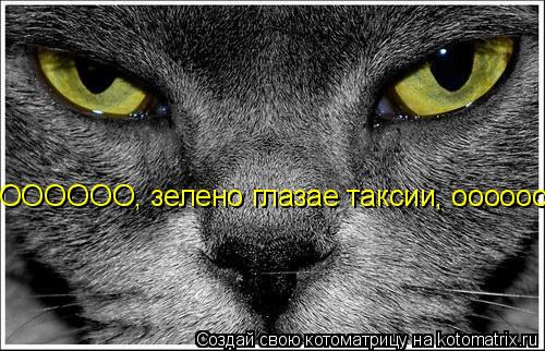 ОООООО, зелено глазае таксии, оооооо... Котоматрица: ОООООО, зелено глазае таксии, оооооо