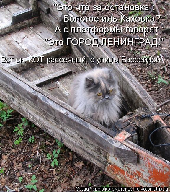 "Это что за остановка : Бологое иль Каховка? А с платформы говорят : "Это ГОРОД ЛЕНИНГРАД!" Вот он, К... Котоматрица: "Это что за остановка : Бологое иль Каховка? А с платформы говорят : "Это ГОРОД ЛЕНИНГРАД!" Вот он, КОТ рассеяный, с улицы Бассейной