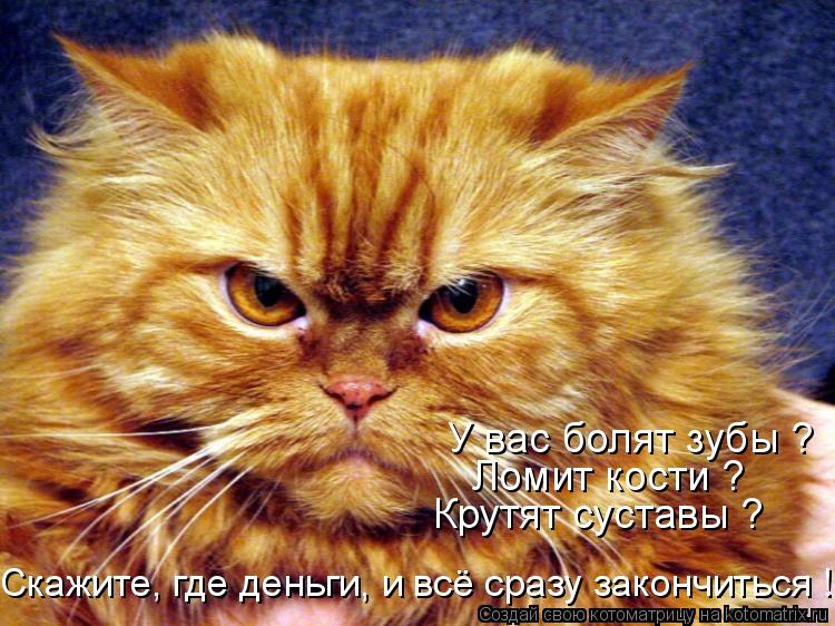 Котоматрица: У вас болят зубы ? Ломит кости ? Крутят суставы ? Скажите, где деньги, и всё сразу закончиться !!!