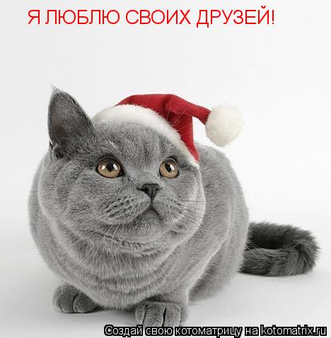 Я ЛЮБЛЮ СВОИХ ДРУЗЕЙ!... Котоматрица: Я ЛЮБЛЮ СВОИХ ДРУЗЕЙ!