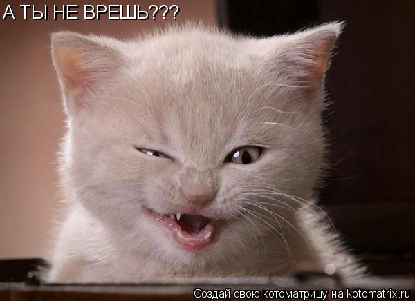 А ТЫ НЕ ВРЕШЬ???... Котоматрица: А ТЫ НЕ ВРЕШЬ???