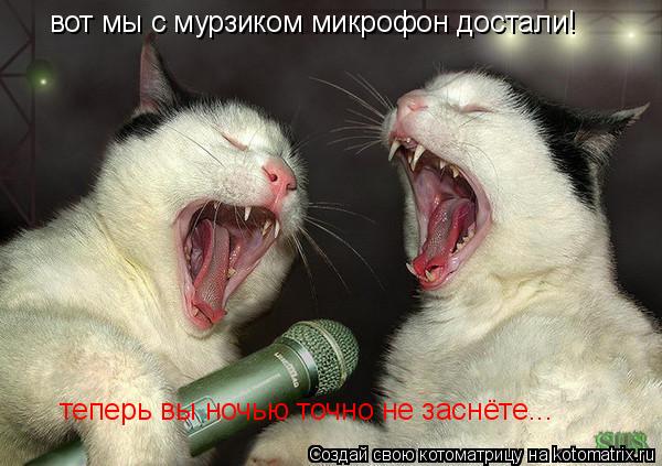 вот мы с мурзиком микрофон достали! теперь вы ночью точно не заснёте...... Котоматрица: вот мы с мурзиком микрофон достали! теперь вы ночью точно не заснёте...