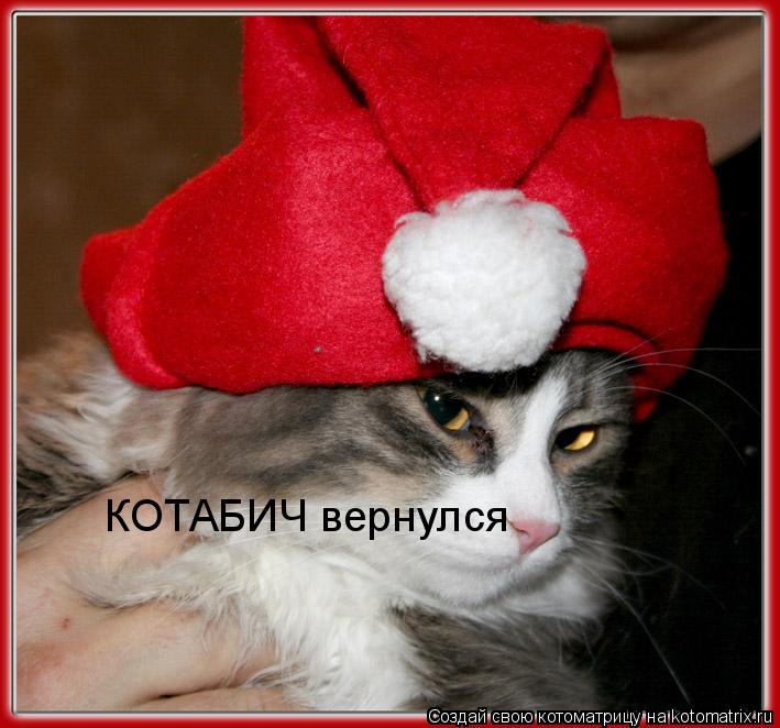 Котоматрица: КОТАБИЧ вернулся