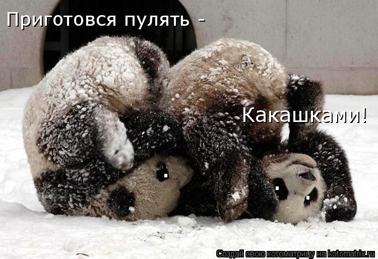 Приготовся пулять - Какашками! . . .... Котоматрица: Приготовся пулять - Какашками! . . .