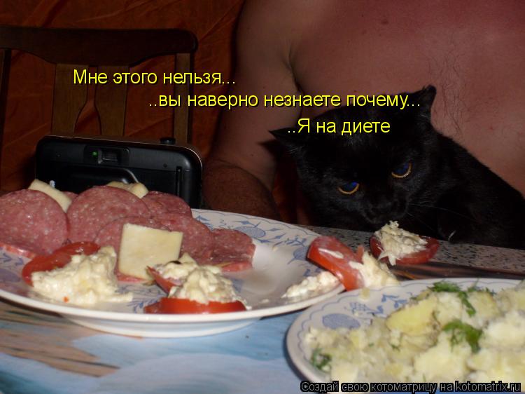 Мне этого нельзя... ..вы наверно незнаете почему... ..Я на диете... Котоматрица: Мне этого нельзя... ..вы наверно незнаете почему... ..Я на диете